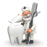 Senior Dental Plans